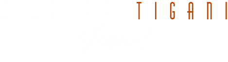 Logo Giuseppe Tigani Visual